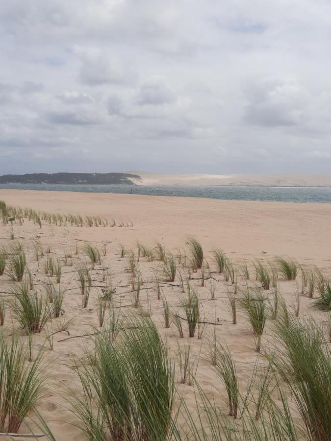 Dune ลาเตสเตอ-เดอ-บูค ภายนอก รูปภาพ